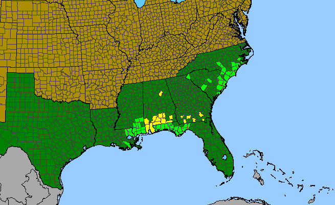 The range of Helianthus heterophyllus